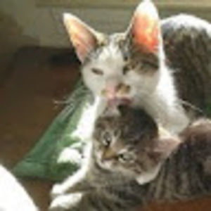 Meet your Posher, Diane